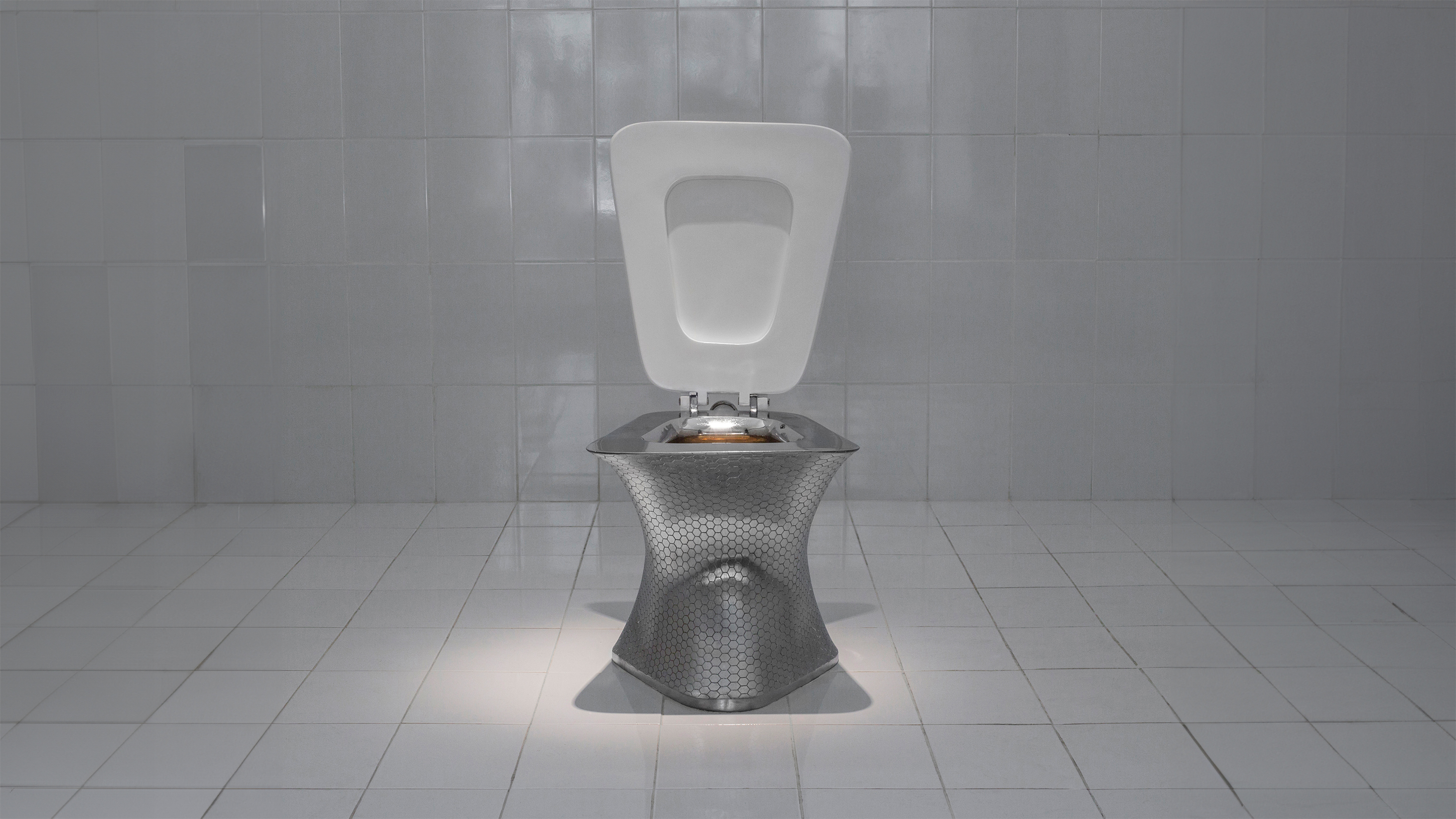 THE TOILET,2016