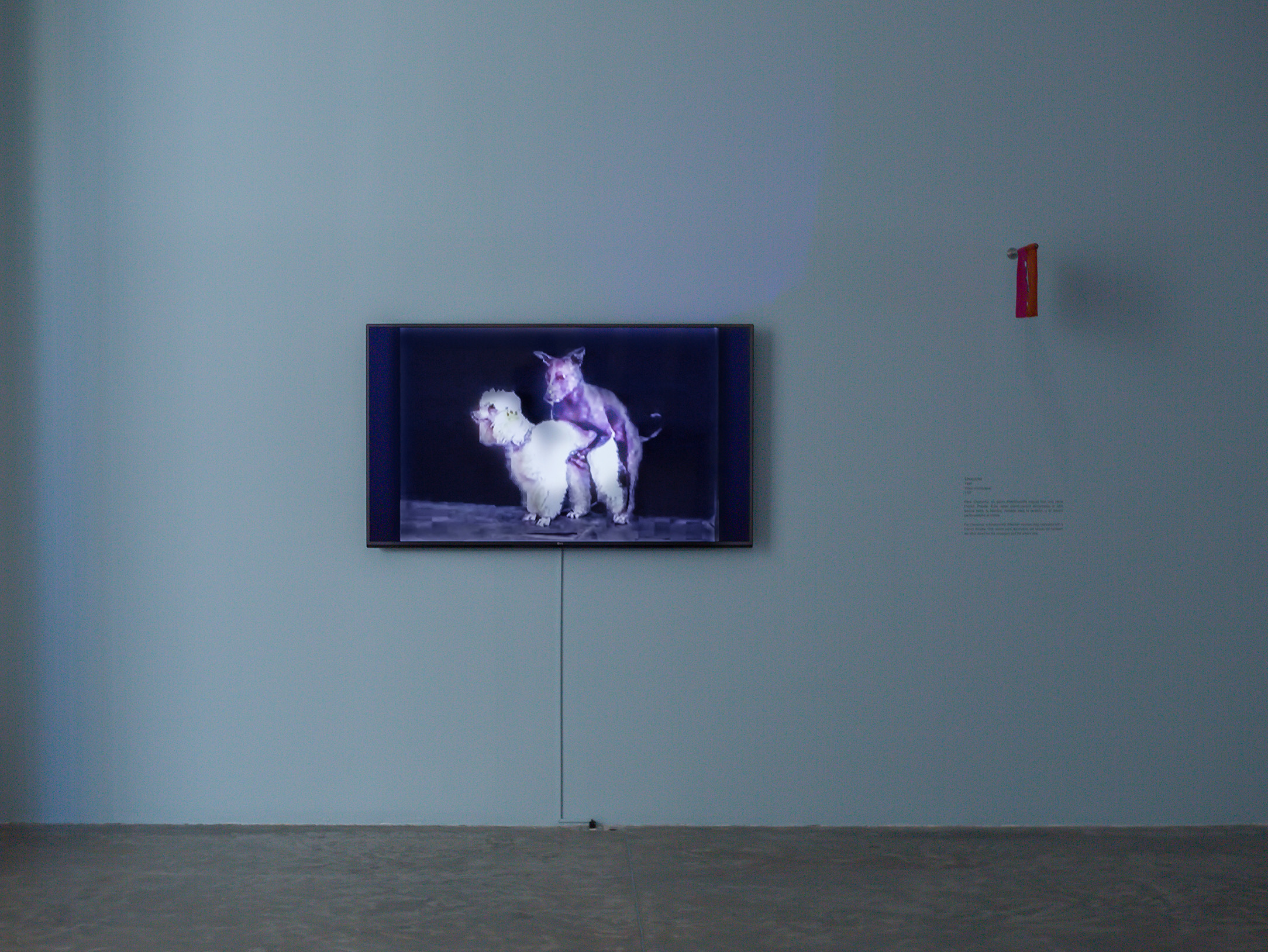 Video installation