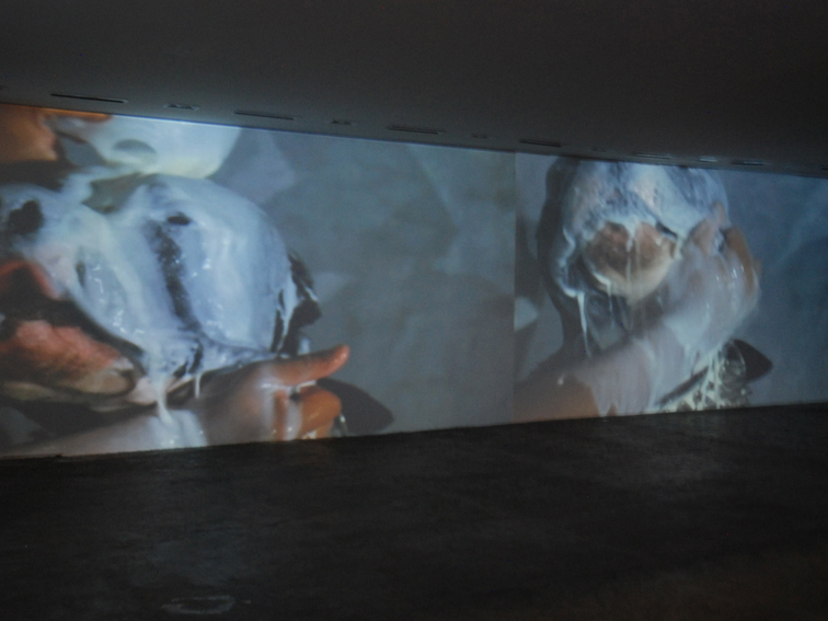 Video installation