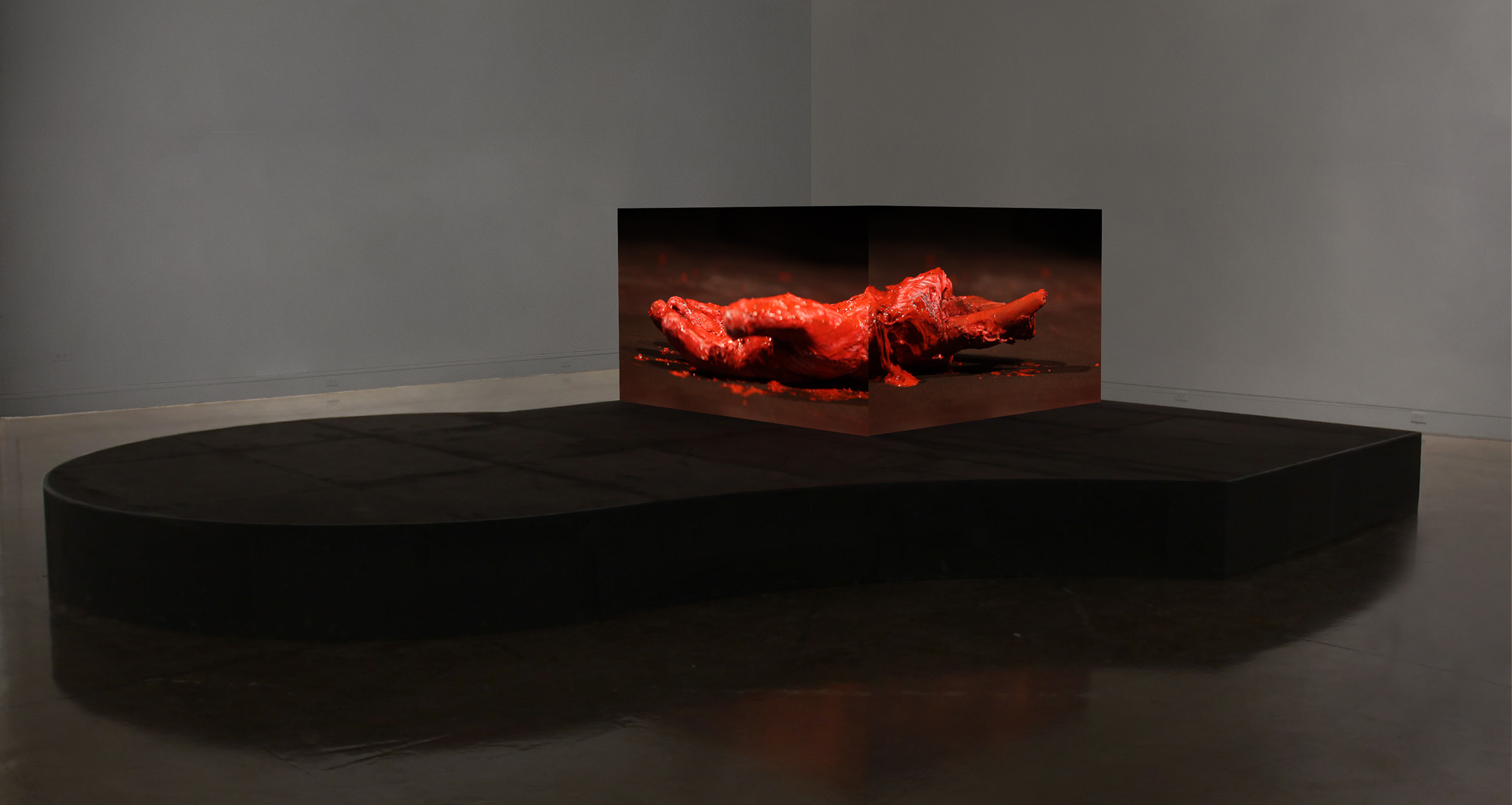 Video installation
