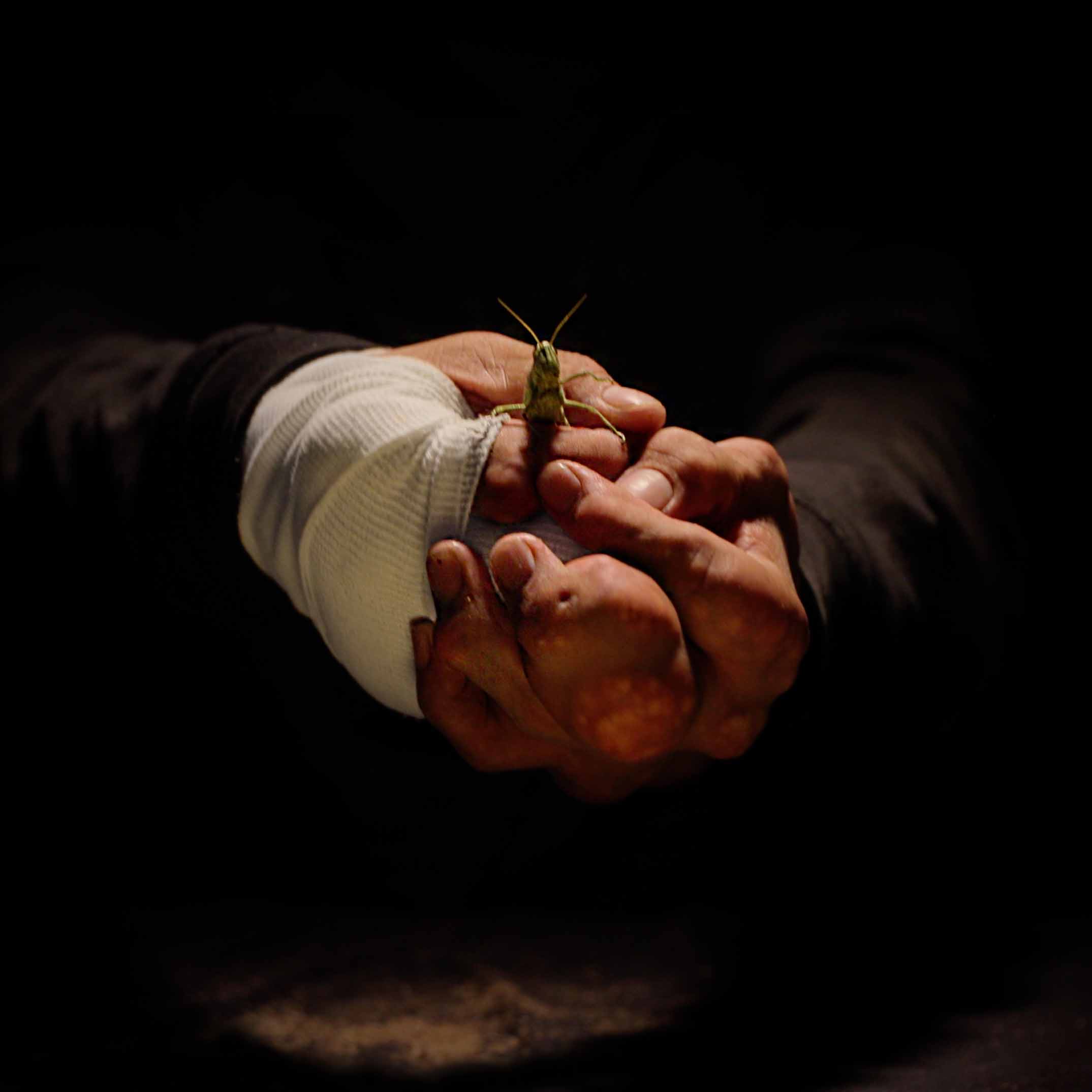 The invisible hand,2022