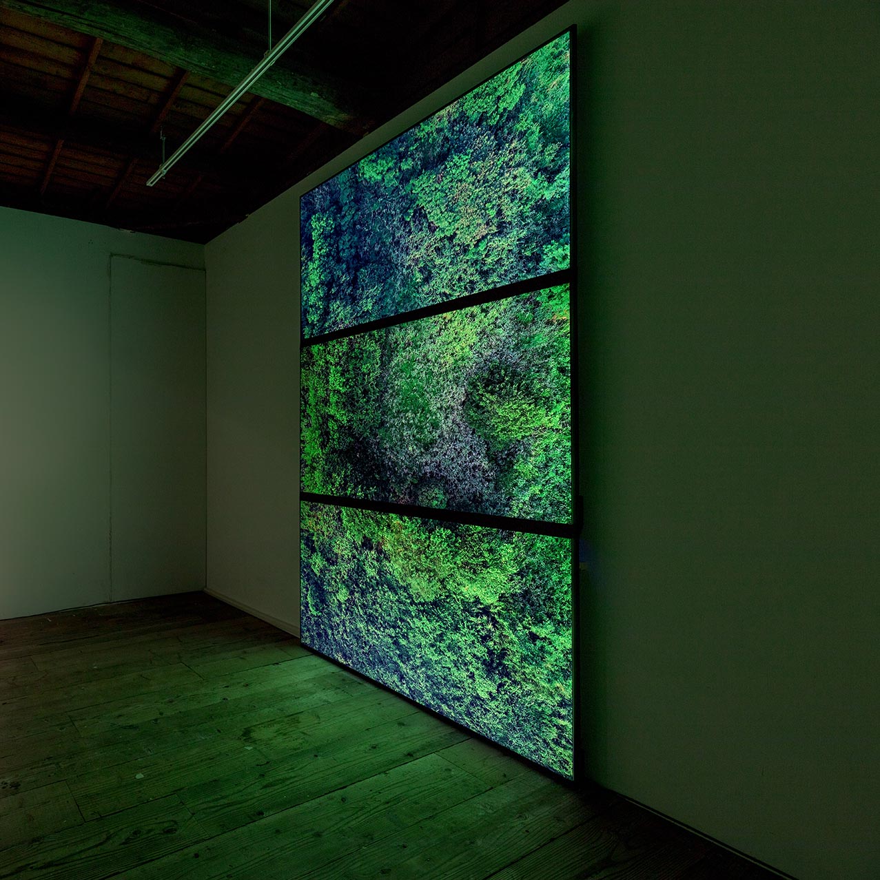 Installation views