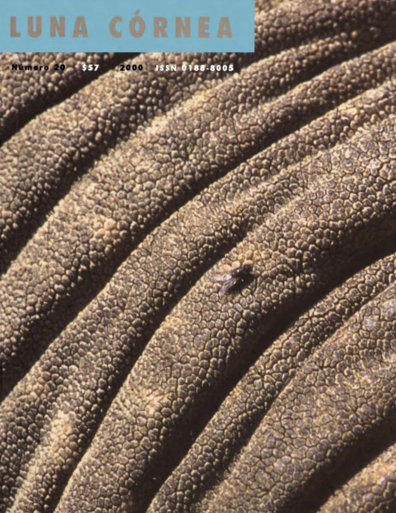 Zoografías,2000