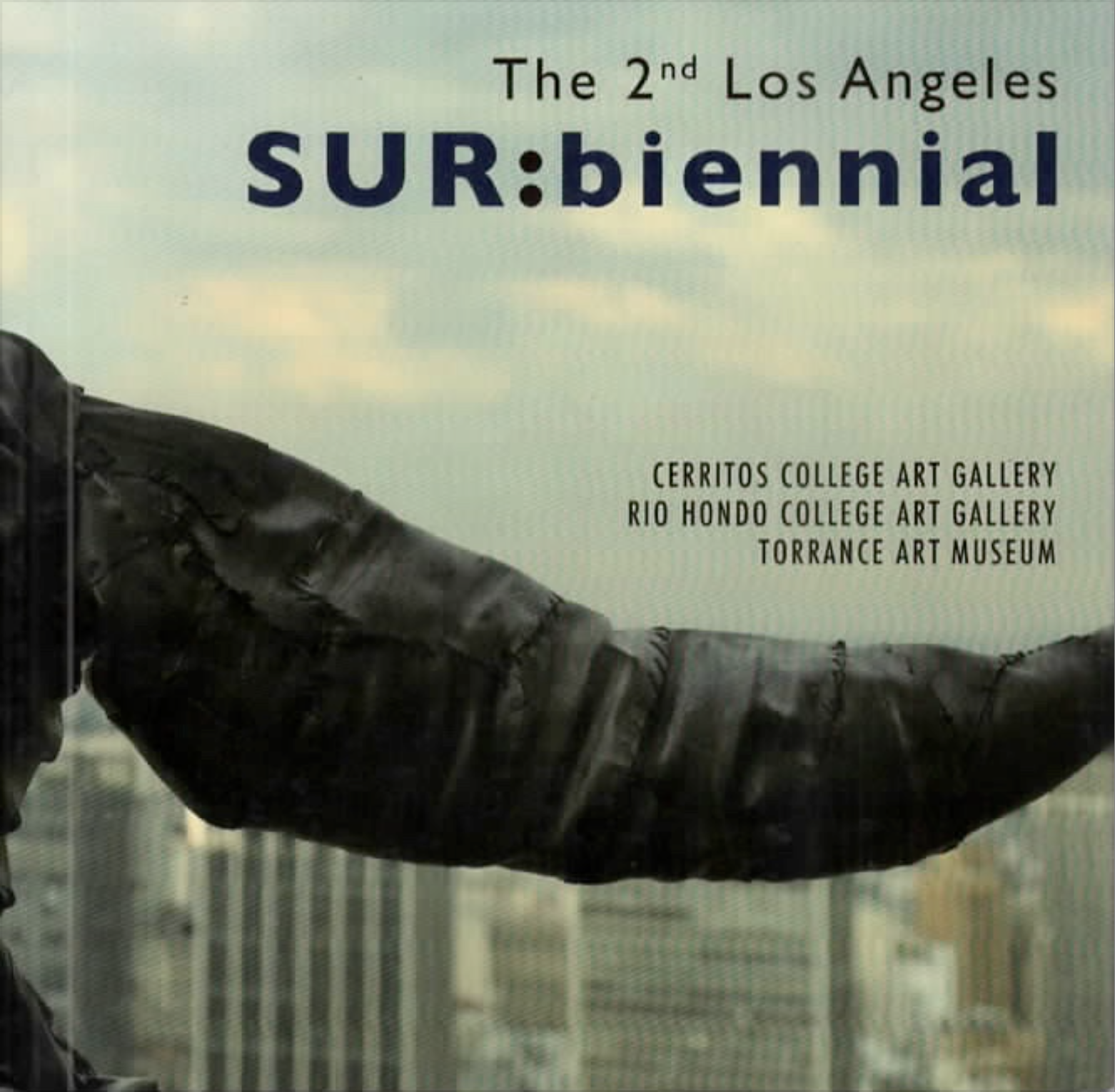SUR:biennial,2013