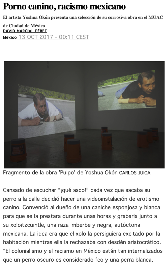 Porno canino,racismo mexicano,2017