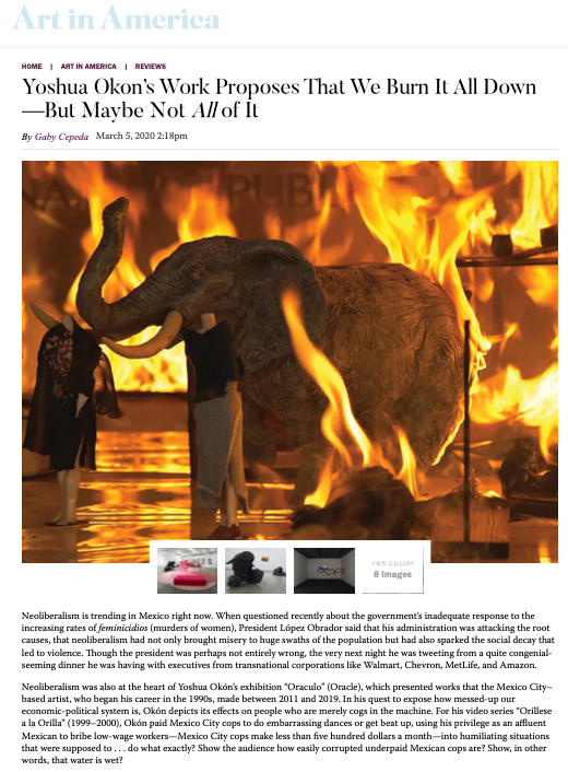 Yoshua Okon's Work,2020